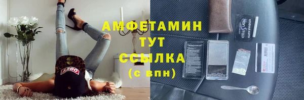 спайс Гусь-Хрустальный