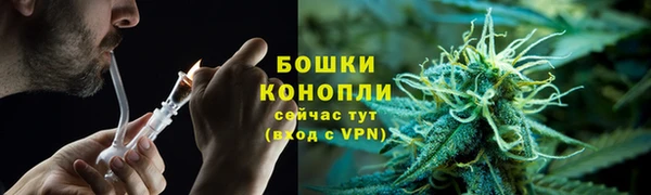 спайс Гусь-Хрустальный