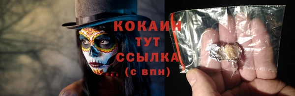 спайс Гусь-Хрустальный