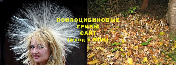 амфетамин Гусиноозёрск