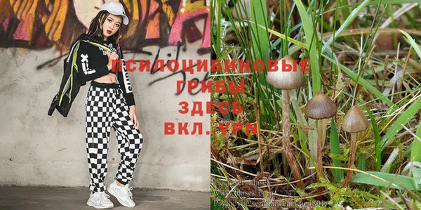 амфетамин Гусиноозёрск